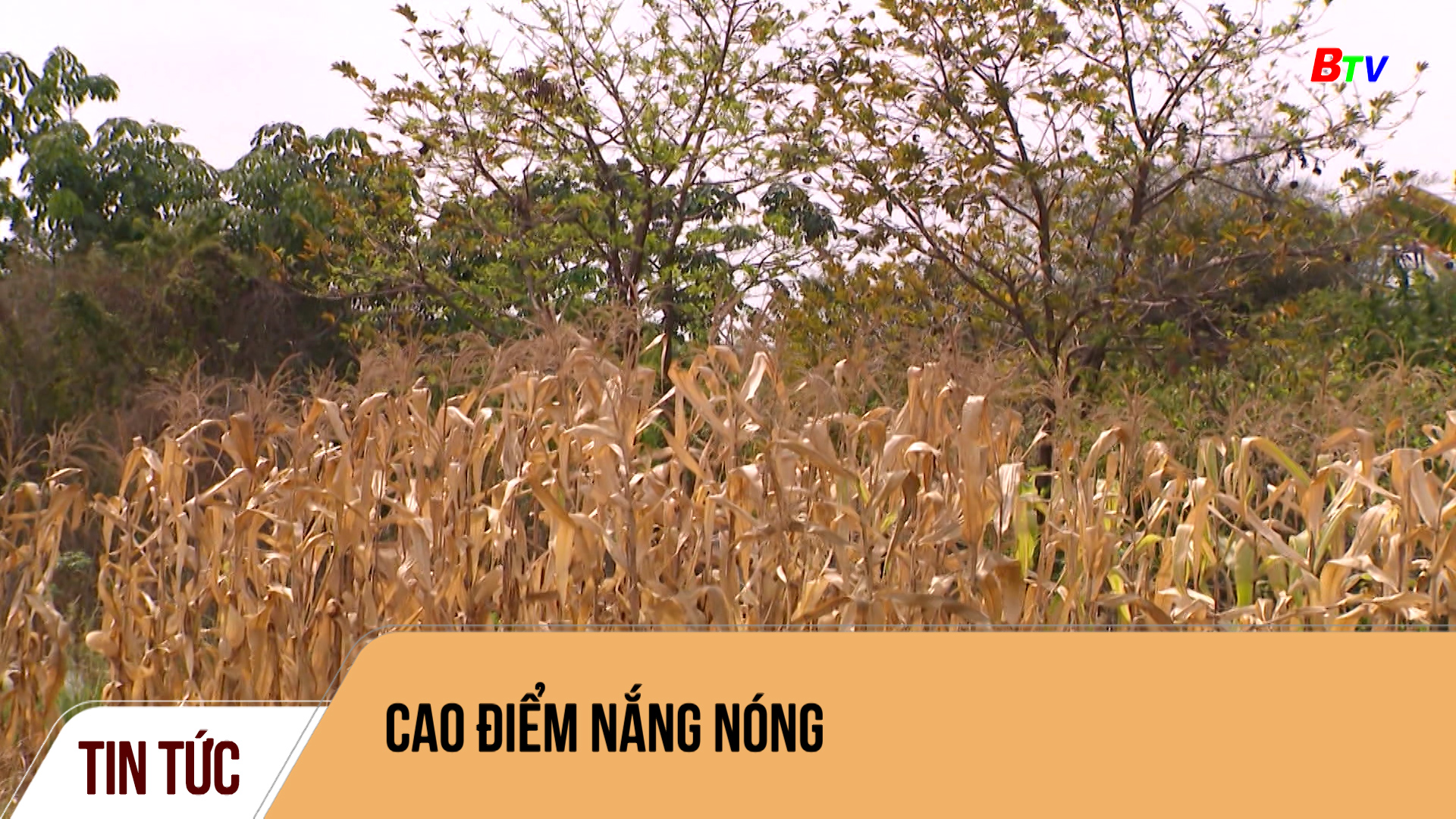 Cao điểm nắng nóng